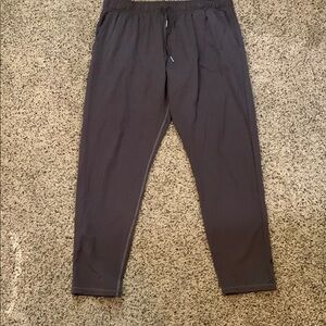 ZYIA Gray Joggers Tapered Everywhere Pants